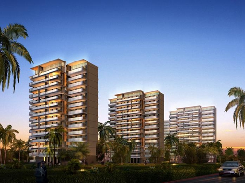 和猫有关的小游戏